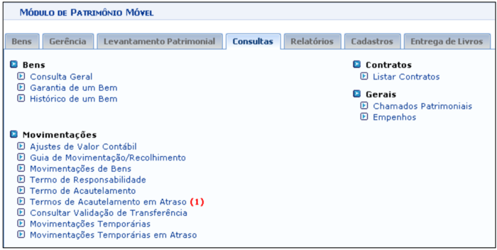 SIPAC-PatrimMovel-36Consultas.png