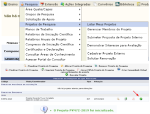 SIGAA-Pesquisa-71Passo19Docente.png