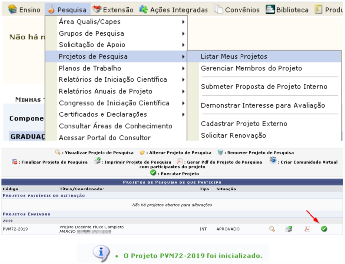 SIGAA-Pesquisa-71Passo19Docente.png