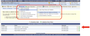 SIGAA-Extensao-PlanoTrabalho-16AcessoBolsistaVoluntario.png